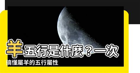 屬羊 五行|【屬羊五行】屬羊五行缺什麼？一文揭曉屬羊五行屬性、相合相剋。